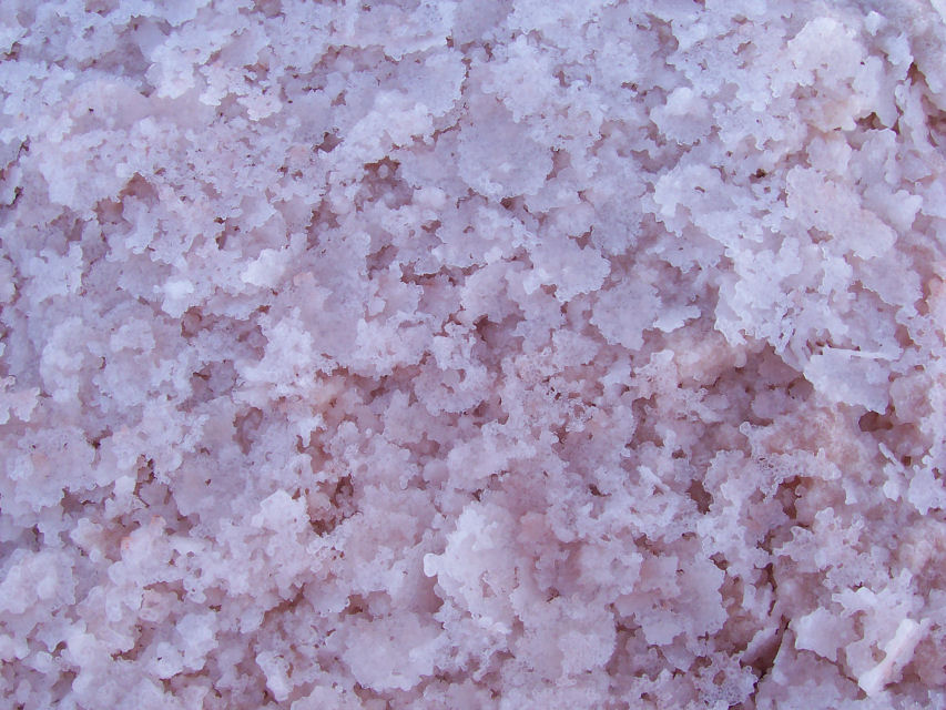 il sale prima di arrivare in tavola