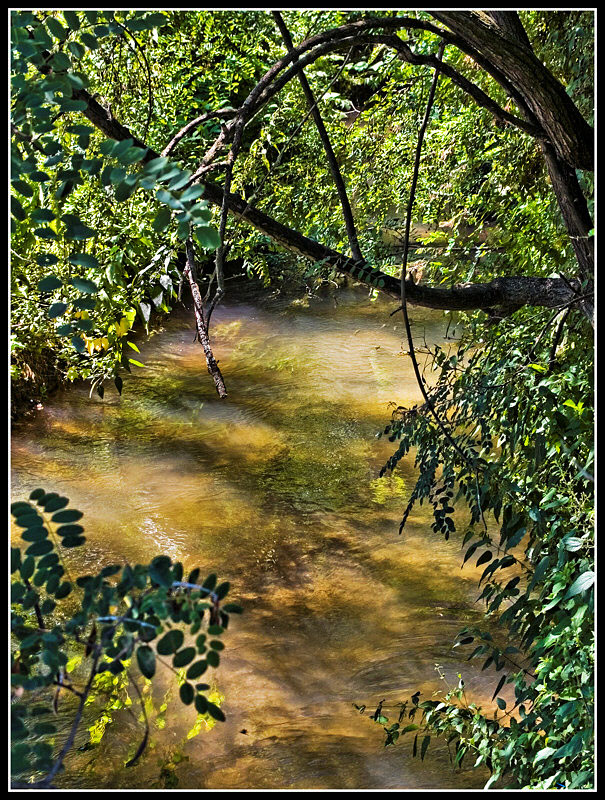 Nuotando controcorrente