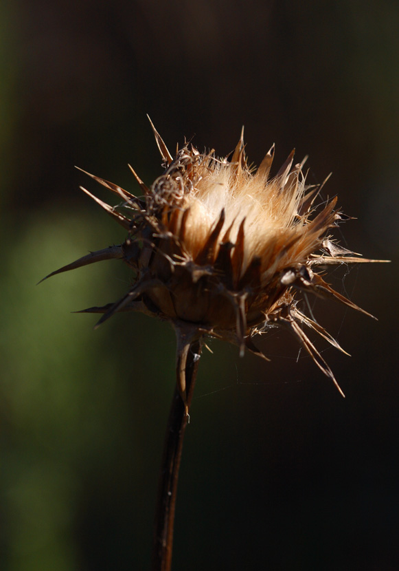 giocando con la luce