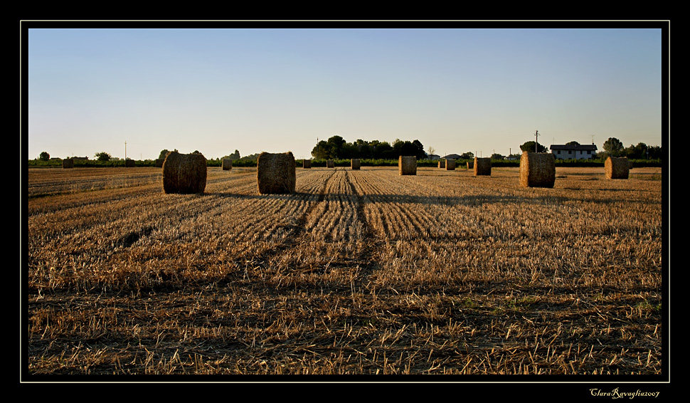 Ultimo sole...sulle rotoballe