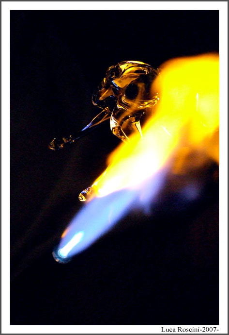 La creazione (parte 2)