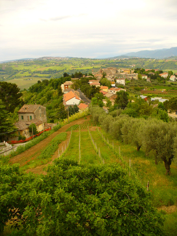 Serra San Quirico
