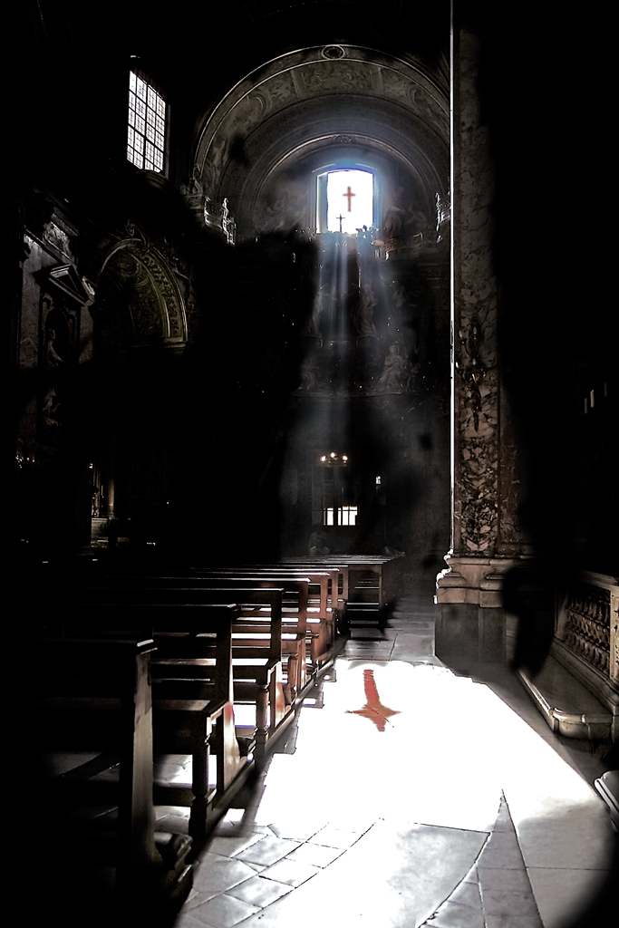 Vigilanza e Perseveranza (Gallo Mercuriale).