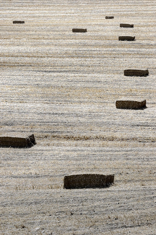 Codici di geometrie esistenziali