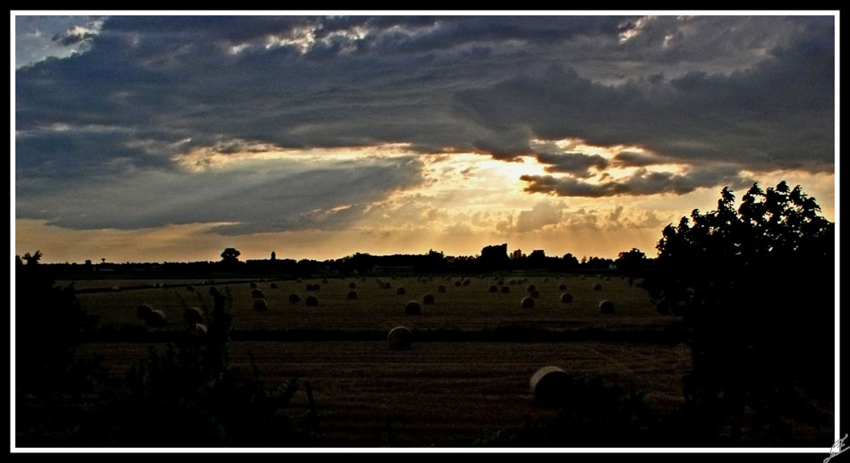Dall'Argine Di Roccabianca