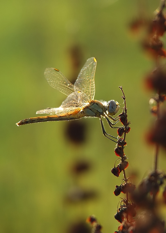 solo un attimo, e poi via!