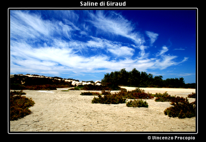 Saline di Giraud