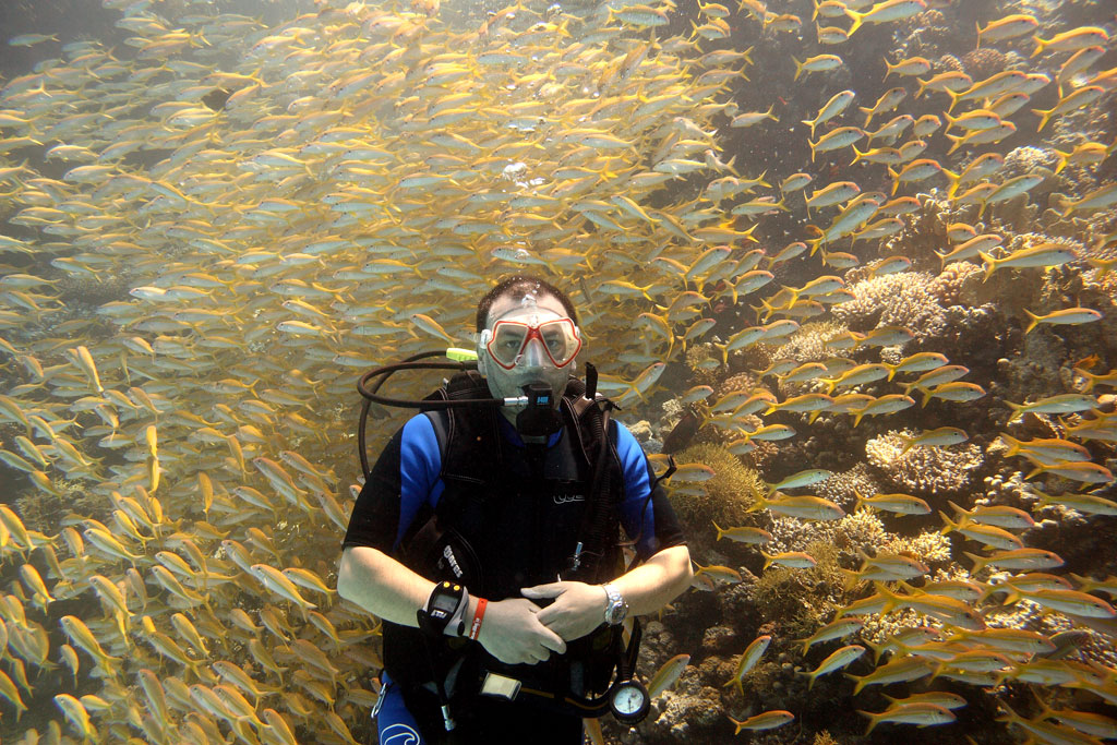 Hurghada - Triglie tropicali (foto di gruppo)