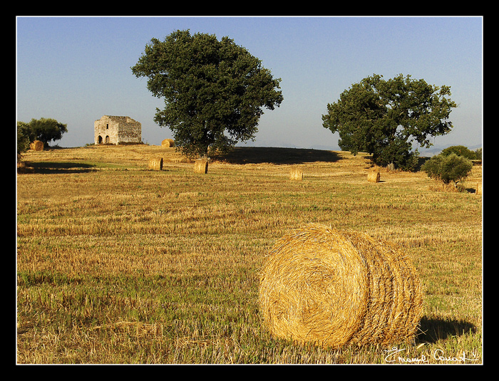 Un pomeriggio d'estate...