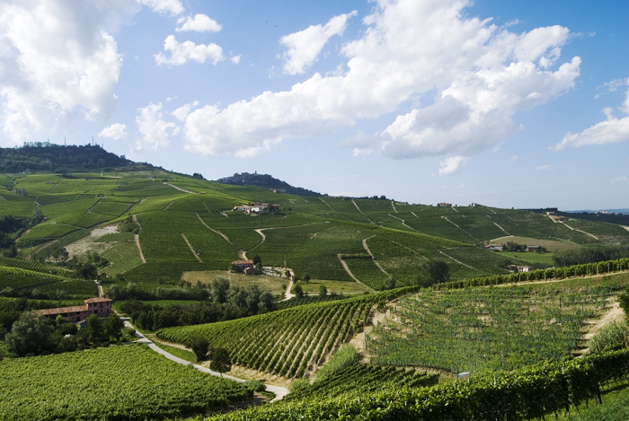 Le terre del Barolo