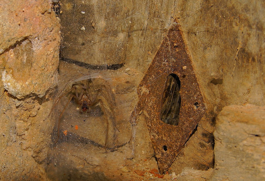 Non aprite quella porta...