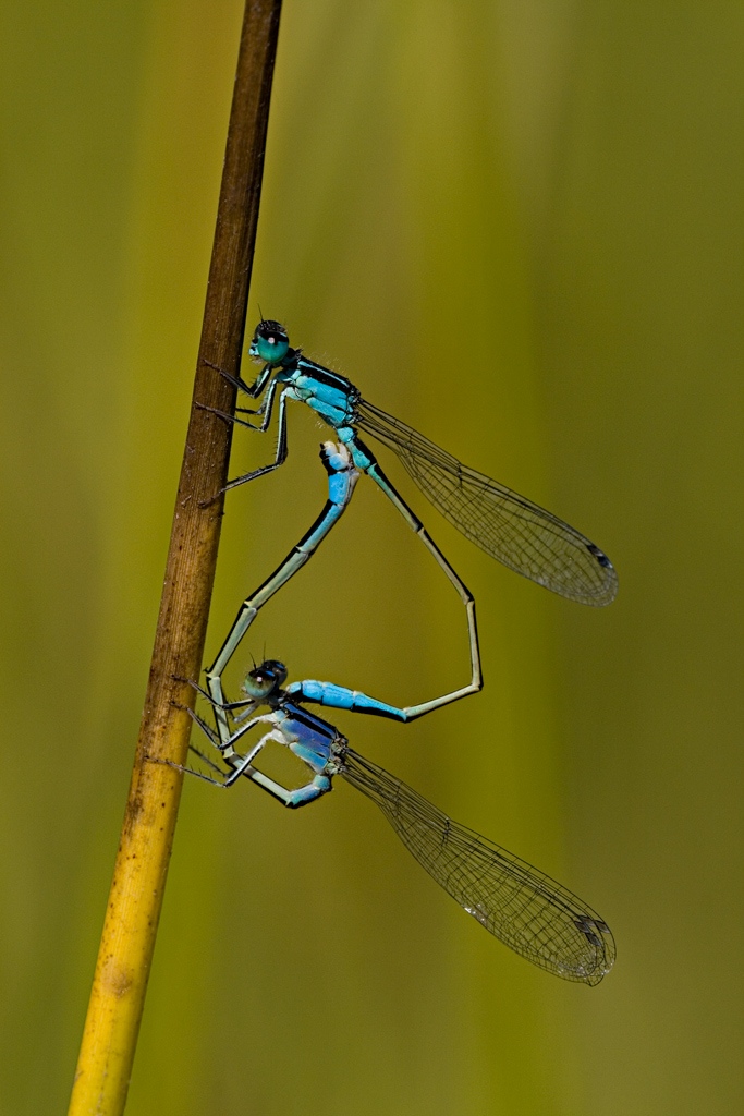 Amore � dare e ricevere...