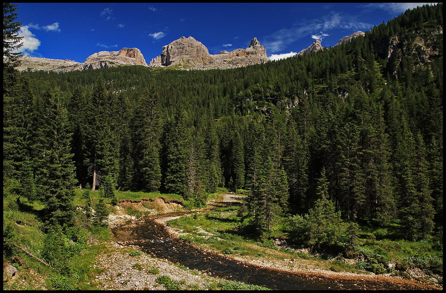 Lo splendore dei boschi