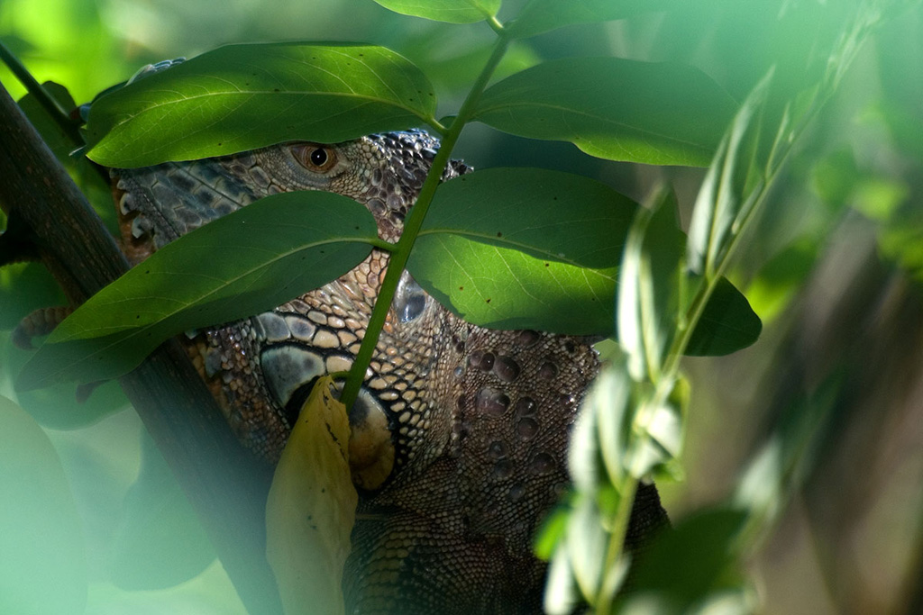 Sguardo...inaspettato!