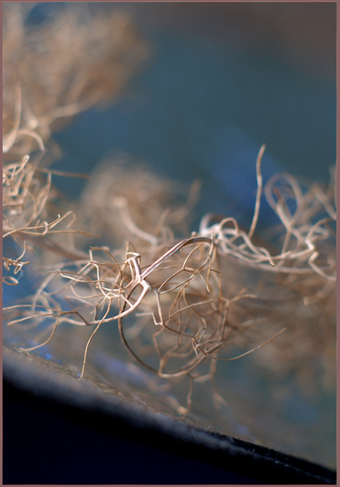 s t e l i  d i  b o s c o