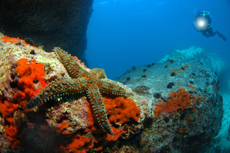 A chi si ricorda ancora