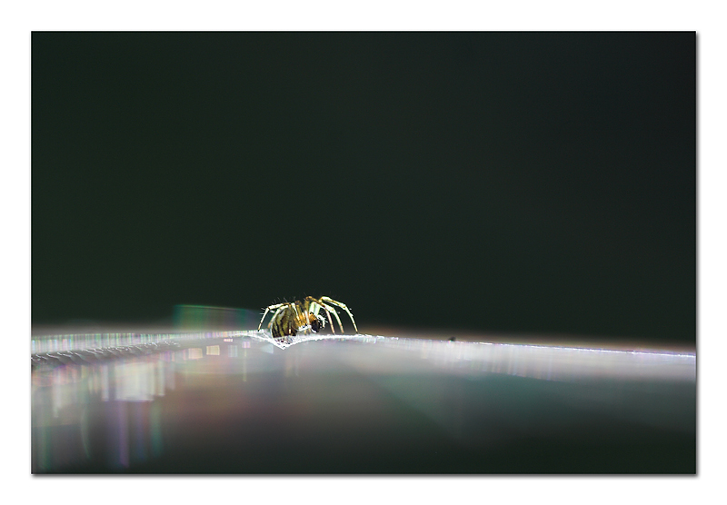 Camminando su una nuvola