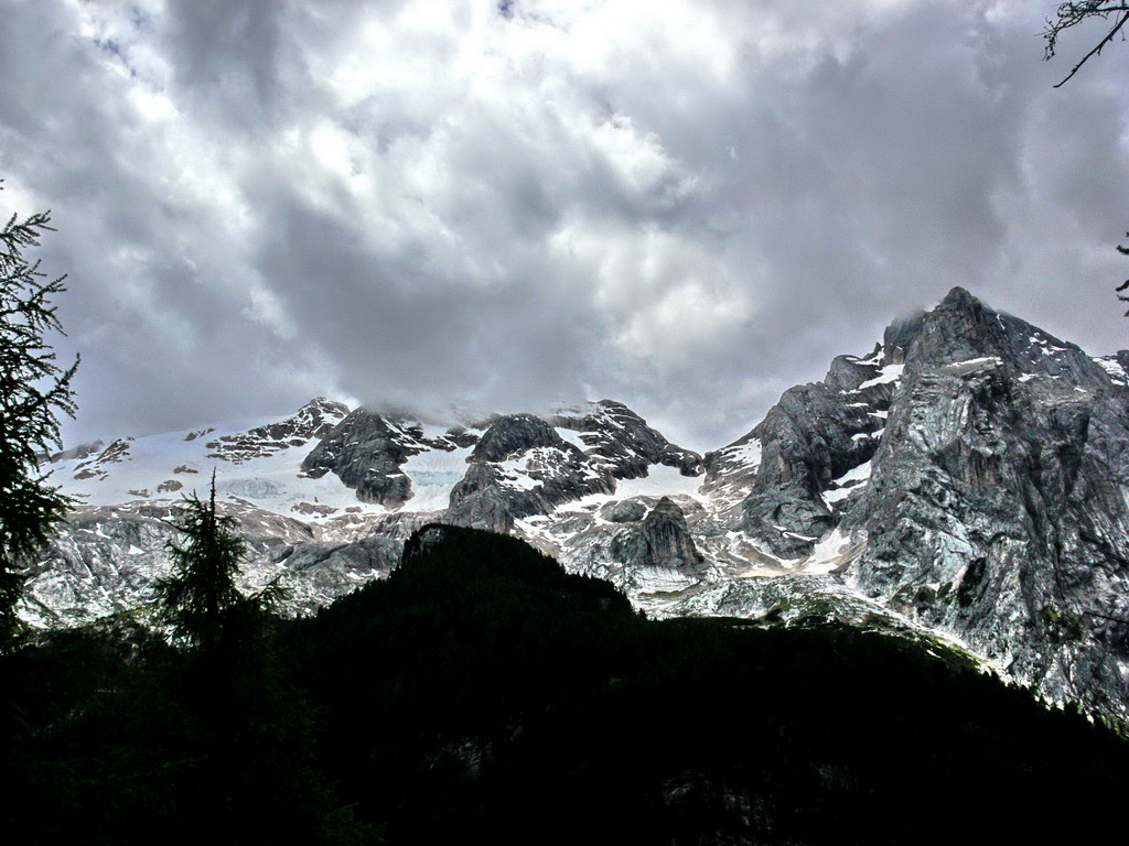 Marmolada tenebrosa