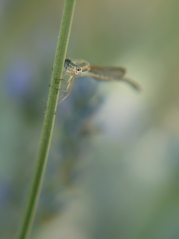...un occhio al primo raggio di sole...