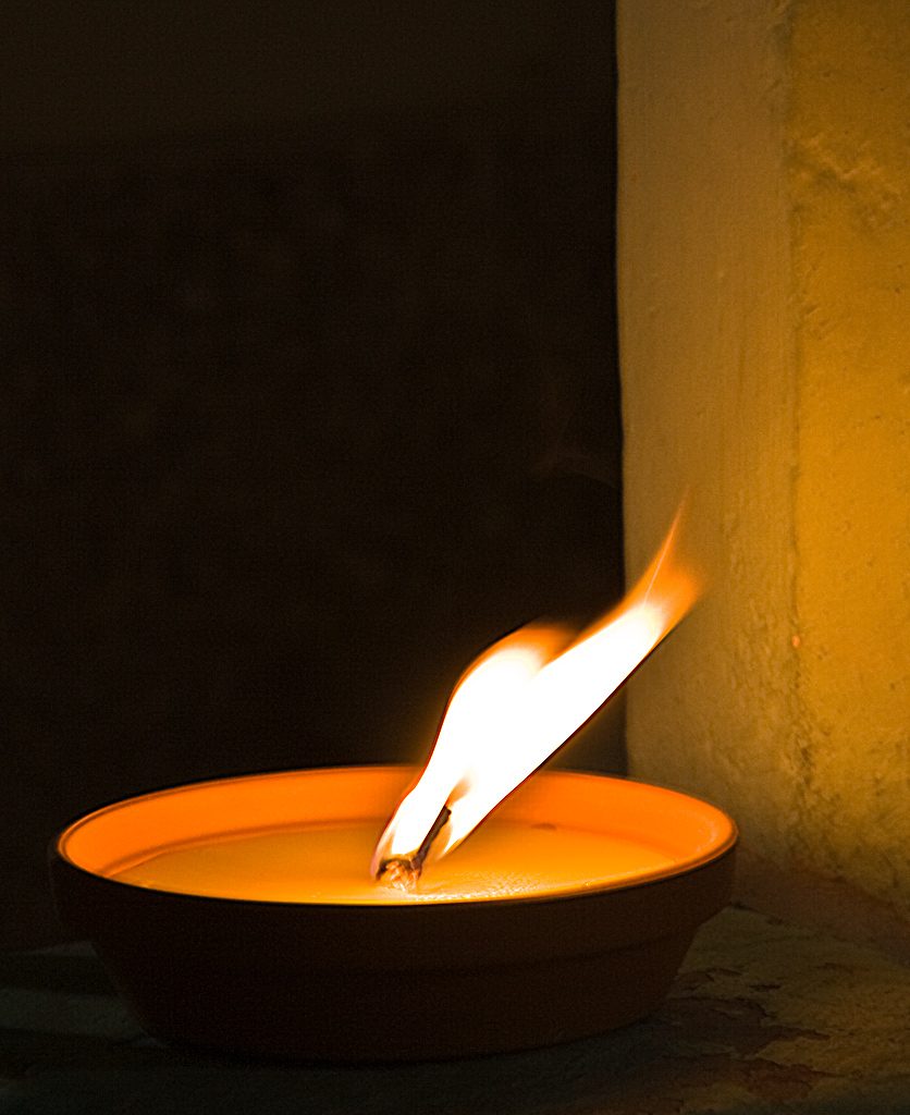 Citronella