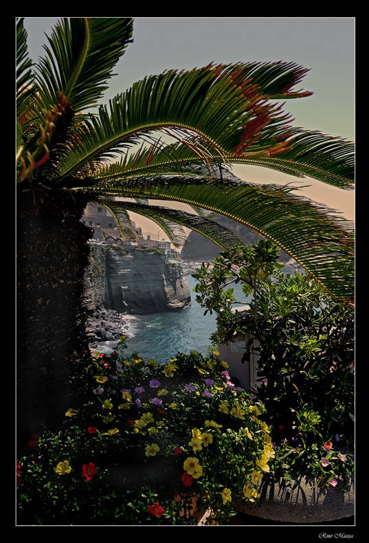 That's a wonderful world