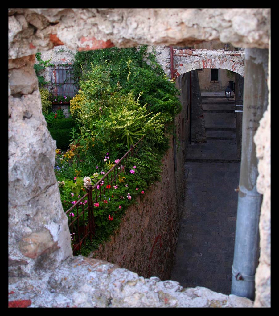 sbirciando in giardino