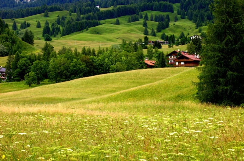 Prati della Valle di Cortina d'Ampezzo