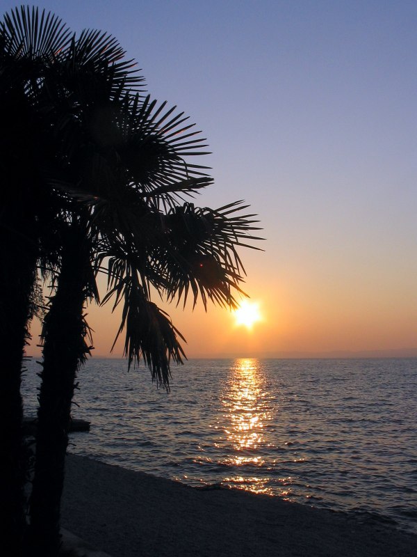 sembrano i tropici e invece...