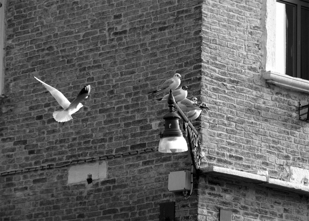 Fioi�Aspettatemi!!