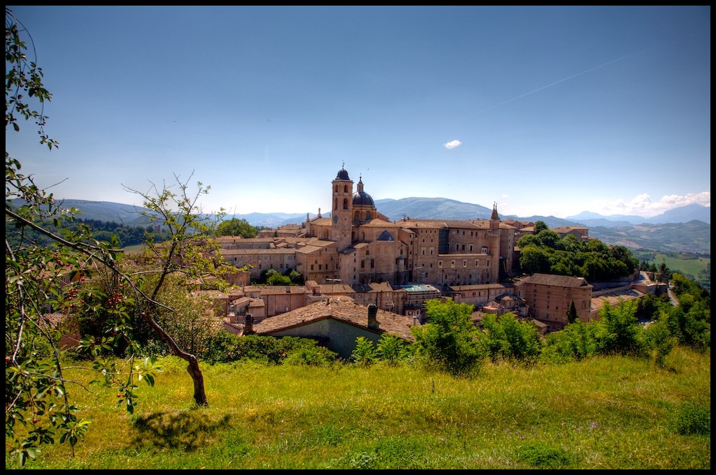 Urbino