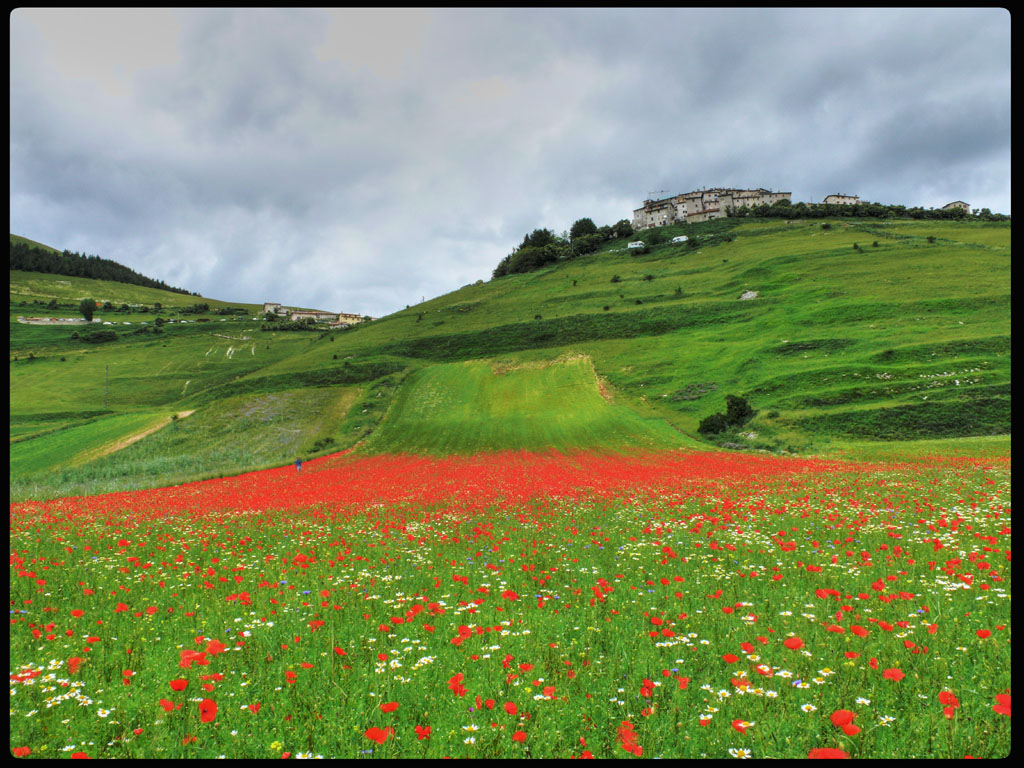 Castelluccio di Norcia in HDR