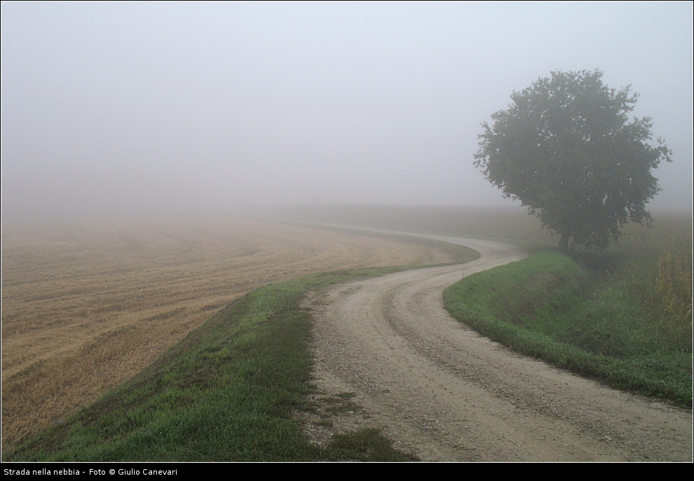 Strada nella nebbia