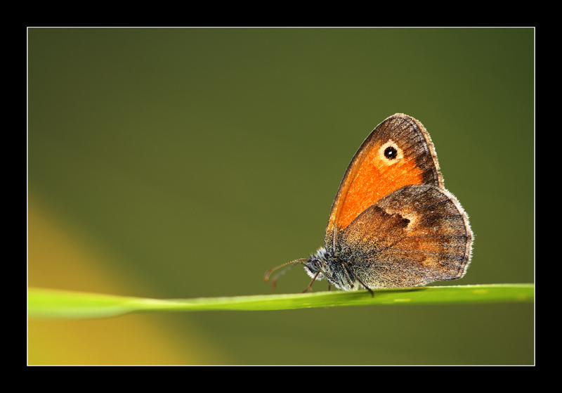 verso il sole..... che caldooo..