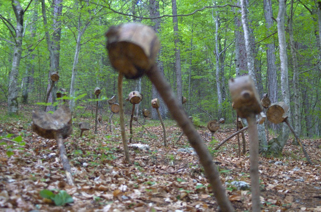 I martelli dell'Eden