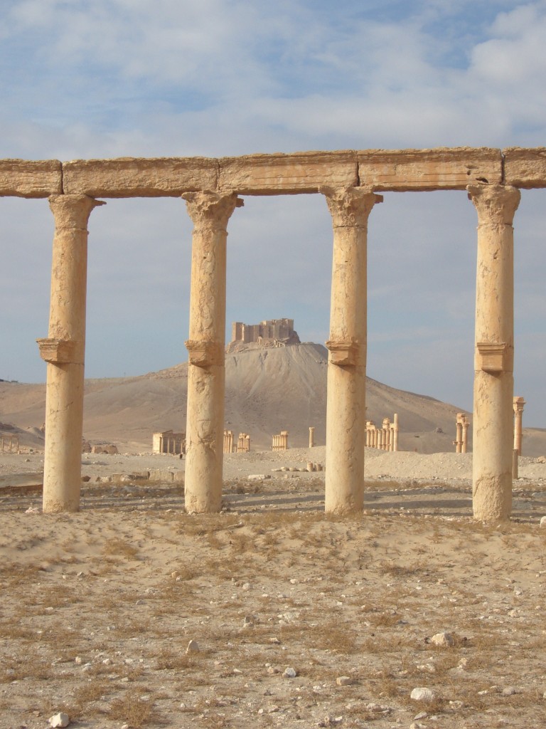 Siria - Veduta di Palmyra