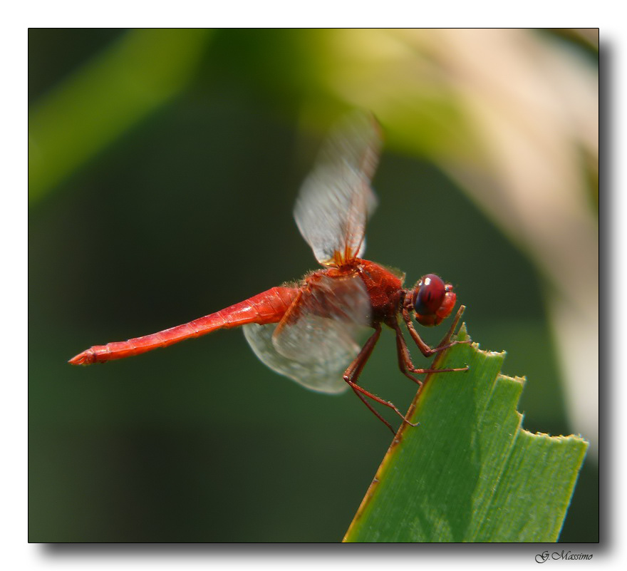 Ferma o in movimento ?!?