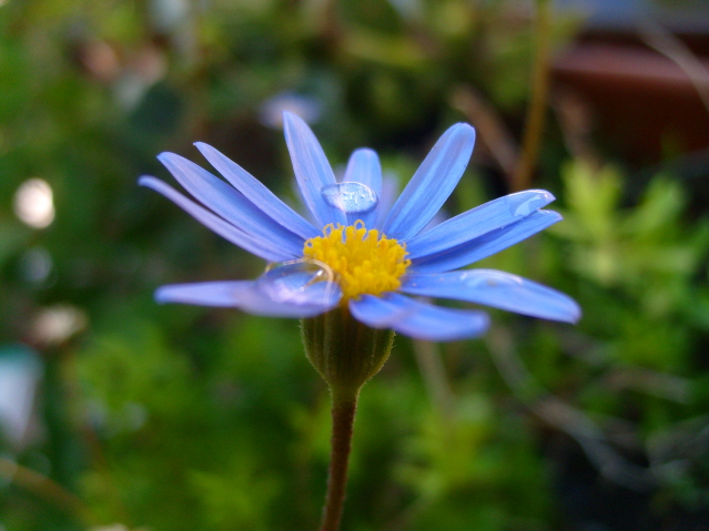 una mattina di luglio...