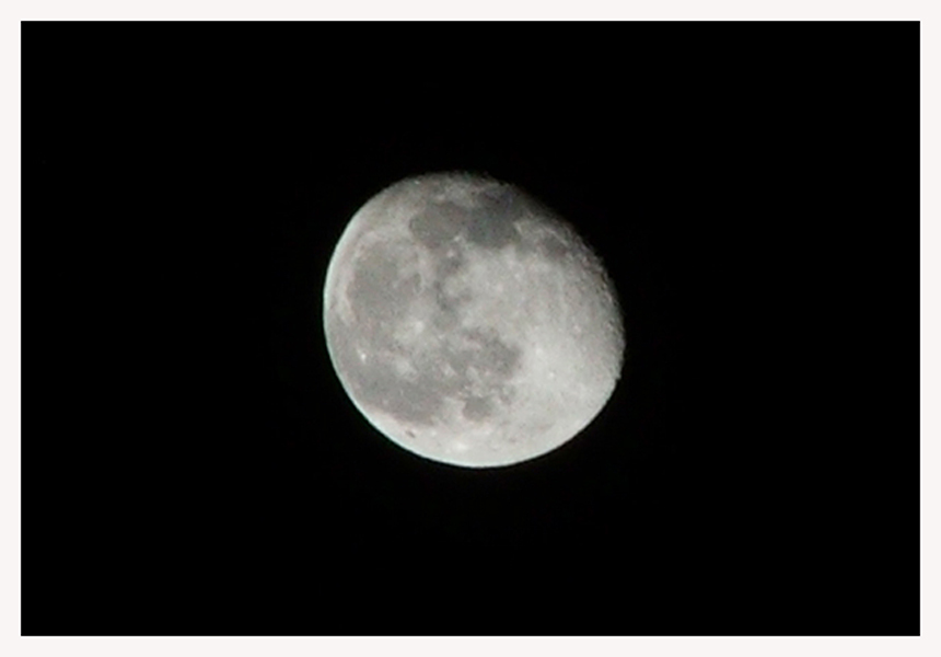 the moon crop1