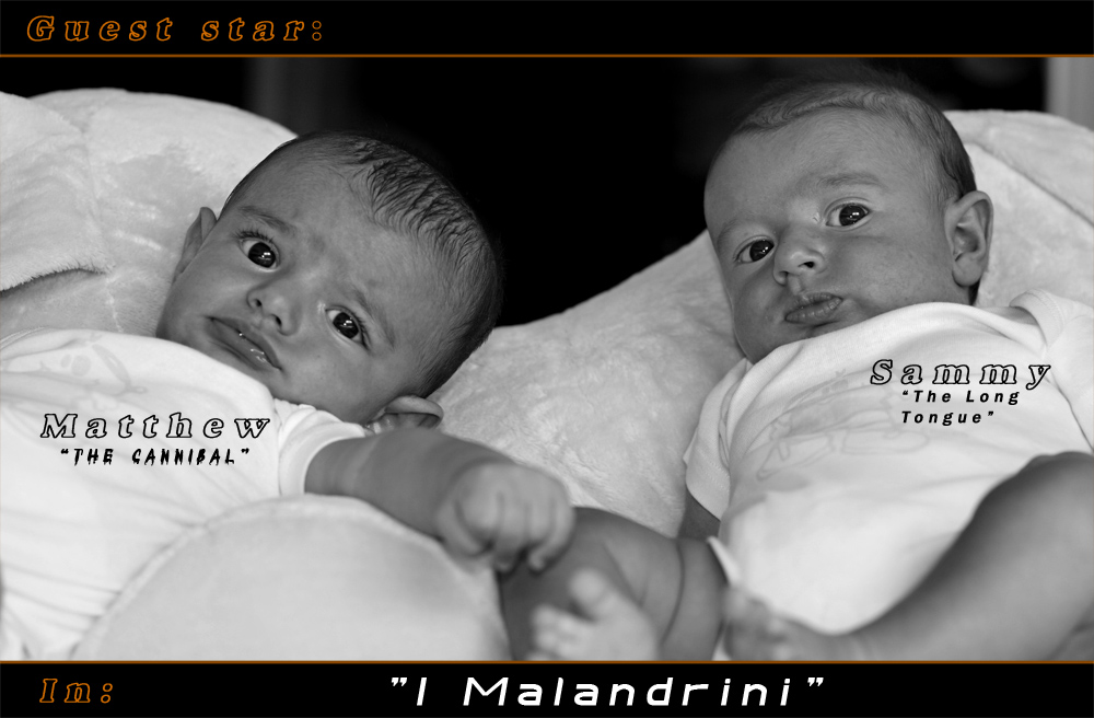 "I Malandrini" ...dal 28 luglio al cinema.