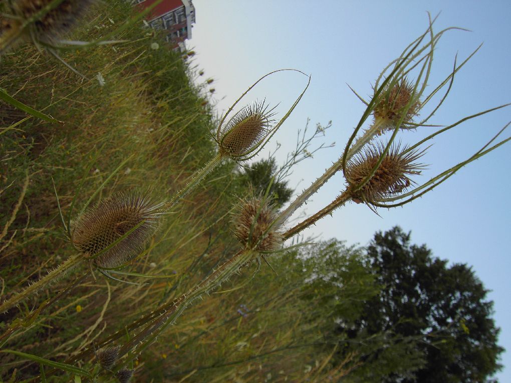 quandu u fotografu � stuarti i capu