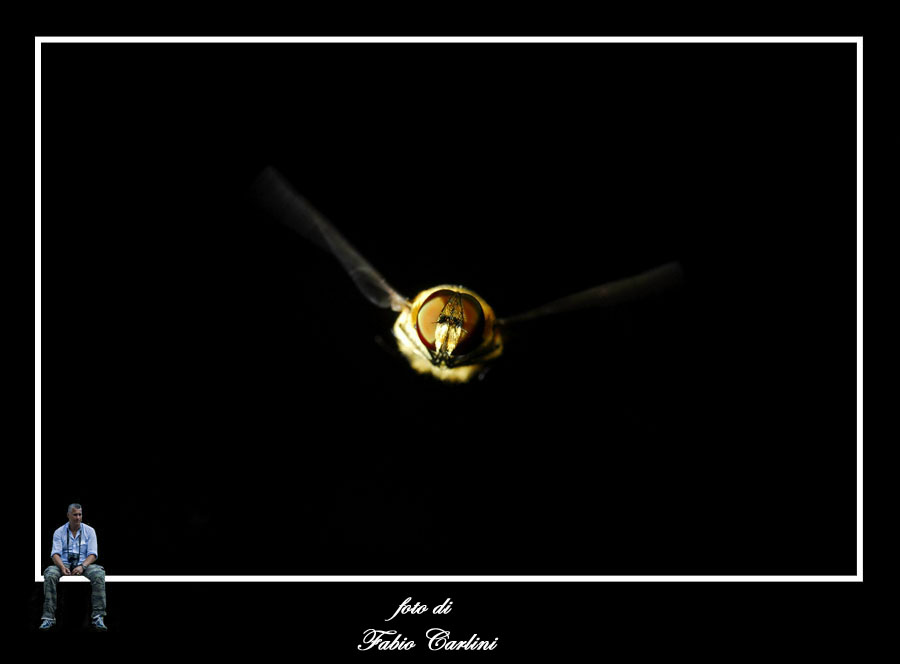 arrivooooo!!!!!!!! II