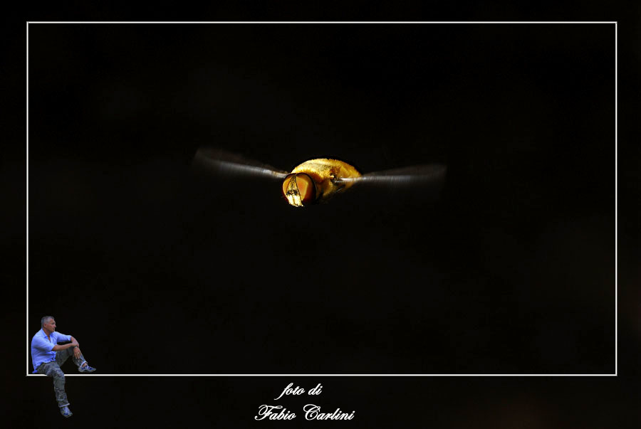 arrivoooooo!!!!!!!!! IV