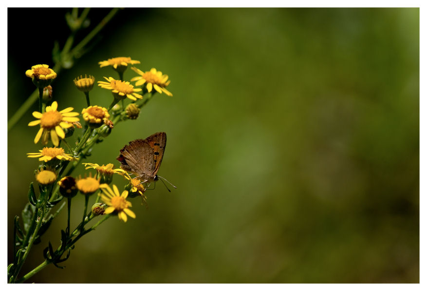 ..a chi lavora quando gli altri ferieggiano