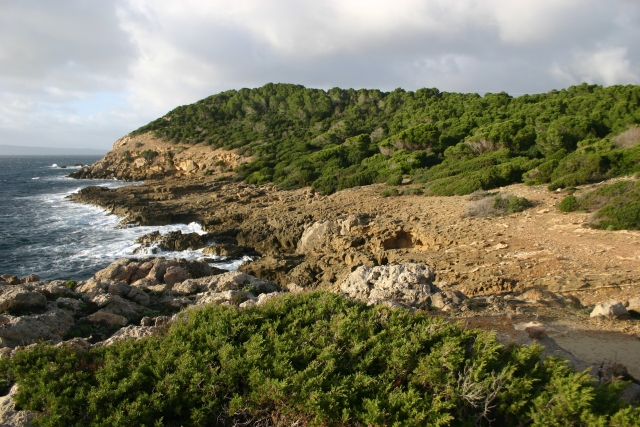 pitticcu su bentu 02/01/2005 17.00.47