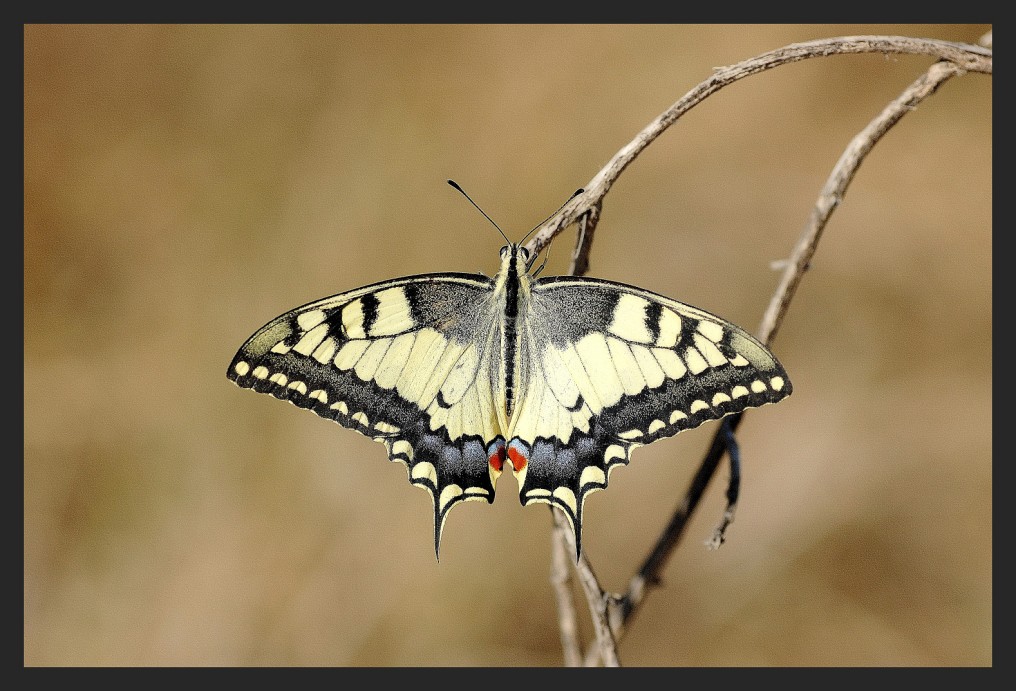 ultimi raggi di sole...