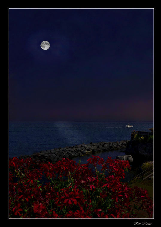 Floreata al chiaro di luna