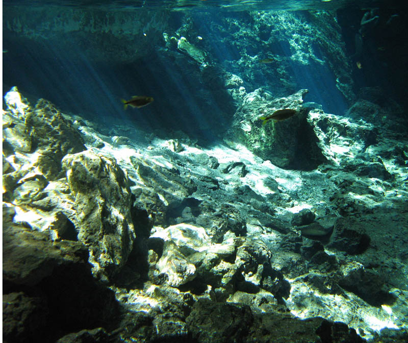Cenote Dos Ojos(Mexico)