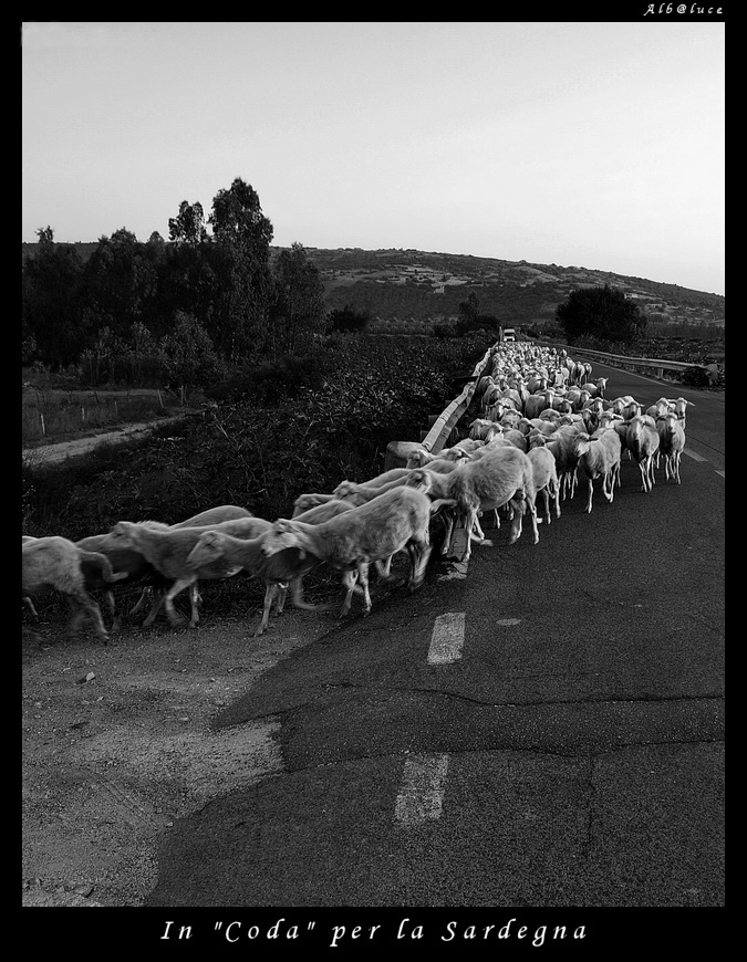 In "Coda" per la Sardegna