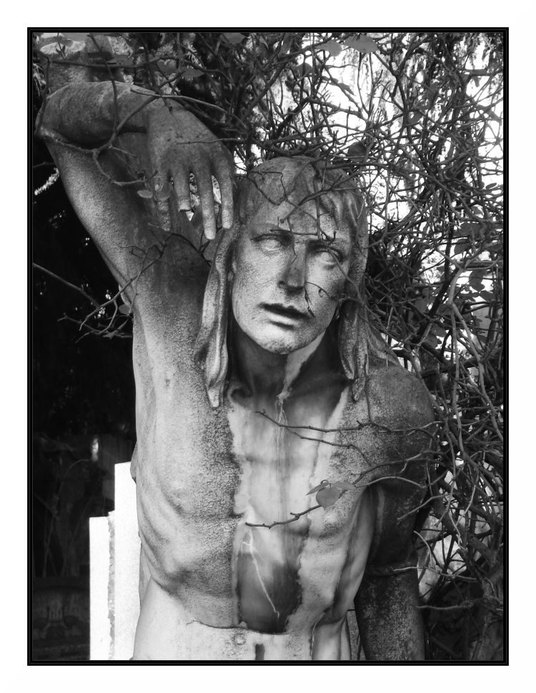 Niente, ma proprio niente,  � per sempre #2