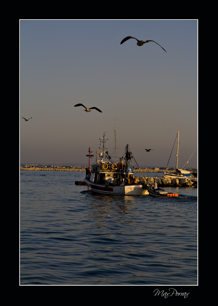 Peschereccio a lavoro